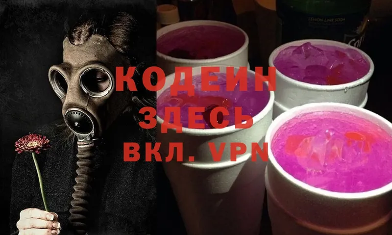 наркота  Пудож  Codein Purple Drank 