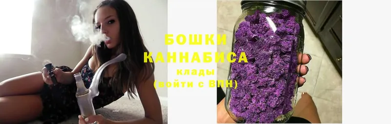 где продают   Пудож  Марихуана White Widow 